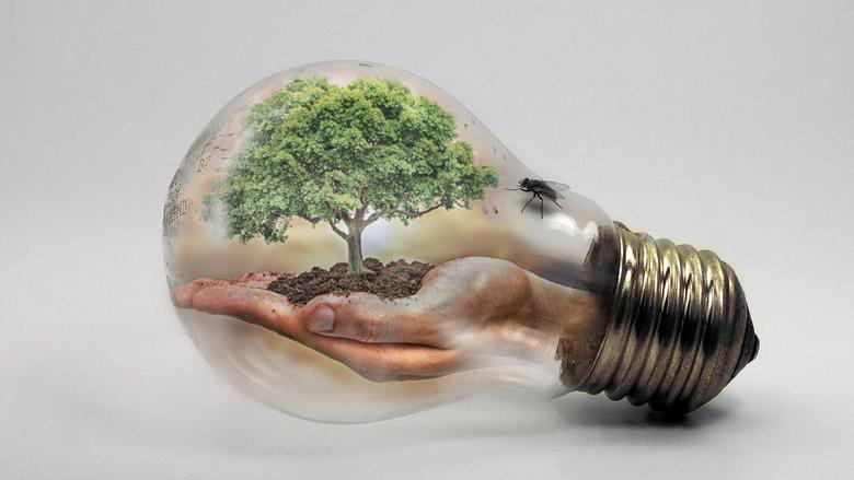 En illustration där en hand håller ett grönt träd inne i en glödlampa. Bilden visar på behovet av att spara energi för att värna om miljön och naturen.