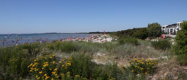 Välbesökt strandremsa med badande besökare. Gula blommor och annan grön växtlighet i förgrunden.
