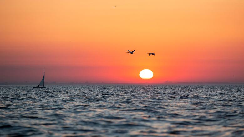 Solnedgång över havet med en segelbåt och två flygande svanar. 