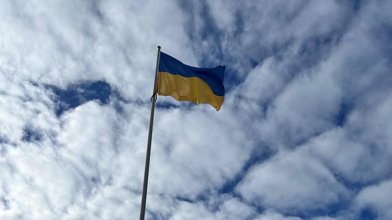 Ukrainas flagga mot molnig himmel