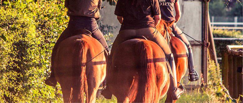 Tre ryttare på hästar