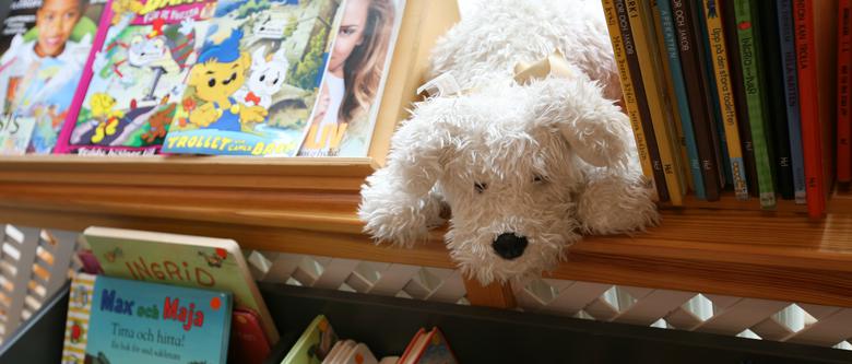 Leksakshund i bokhyllan