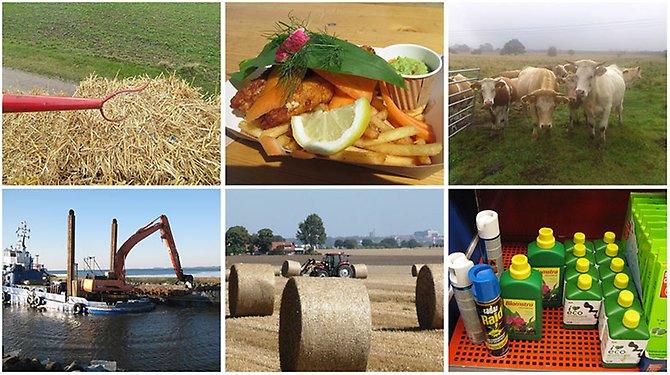 Collage över olika delar som omfattas av miljö- och livsmedelsområdet